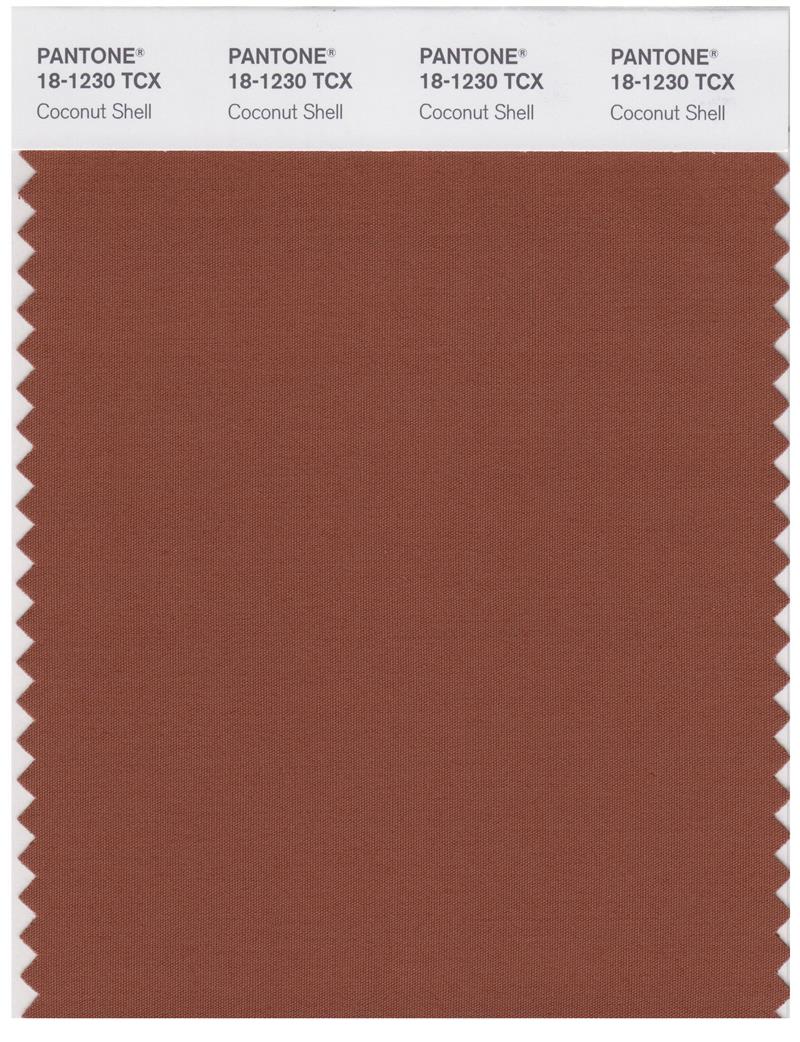 Pantone Smart 18-1230 TCX Color Swatch Card | Coconut Shell 