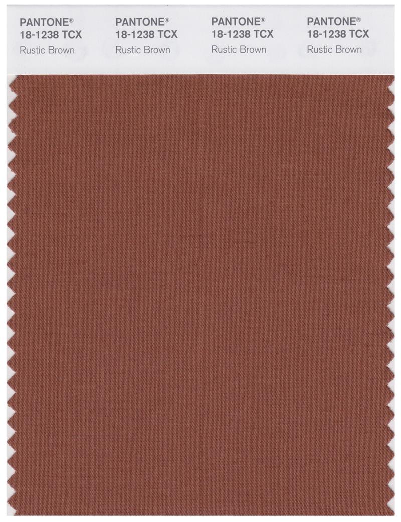 Pantone Smart 18-1238 TCX Color Swatch Card | Rustic Brown 