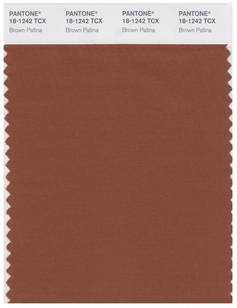 Pantone Smart 18-1242 TCX Color Swatch Card | Brown Patina 