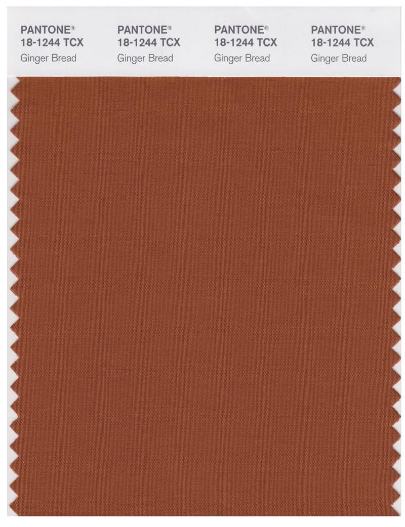 Pantone Smart 18-1244 TCX Color Swatch Card | Ginger Bread 