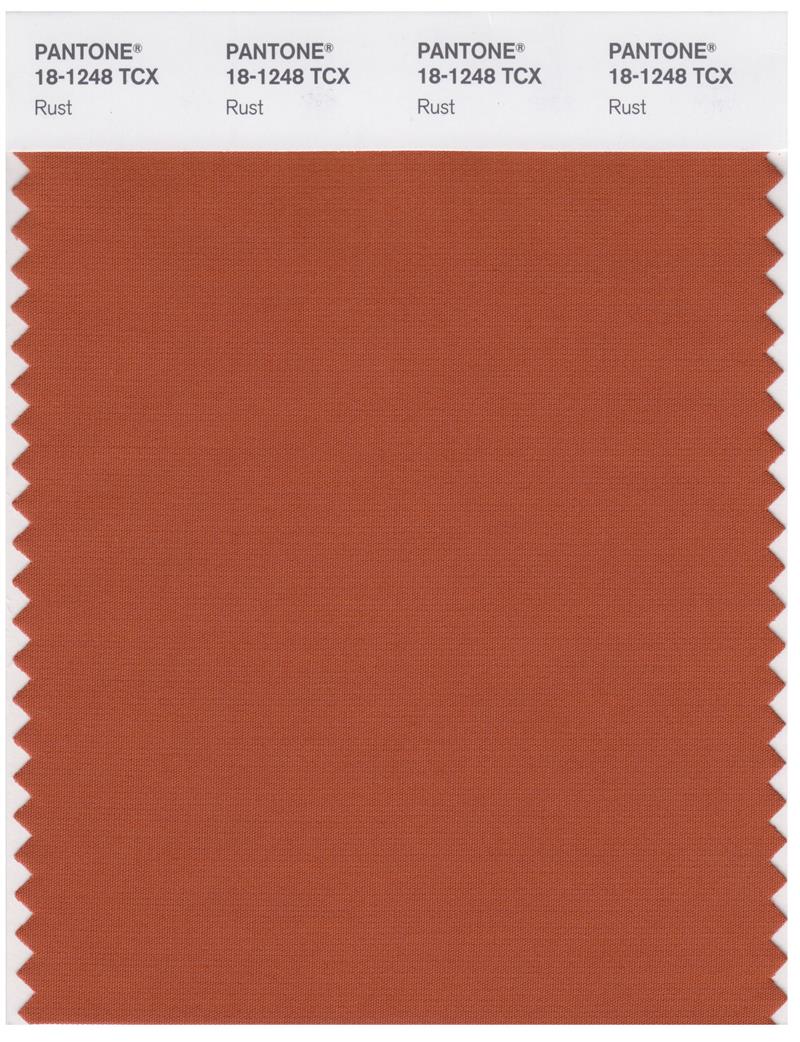 Pantone Smart 18-1248 TCX Color Swatch Card | Rust 