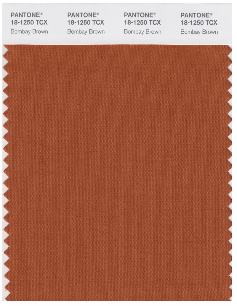 Pantone Smart 18-1250 TCX Color Swatch Card | Bombay Brown 