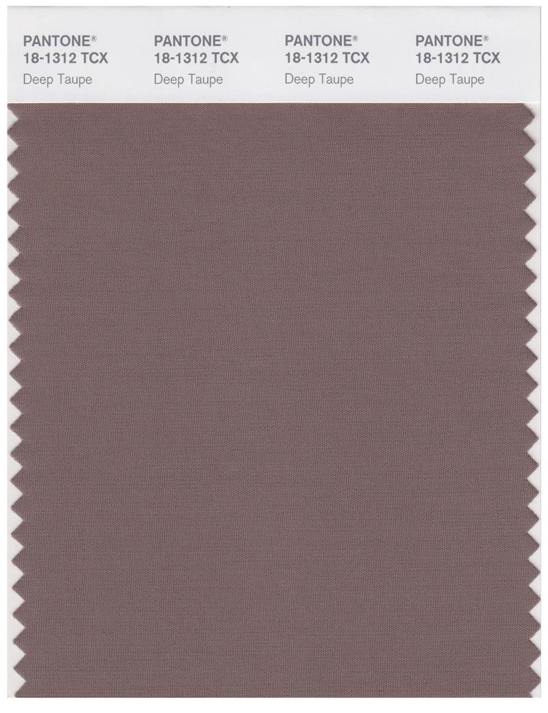 Pantone Smart 18-1312 TCX Color Swatch Card | Deep Taupe 