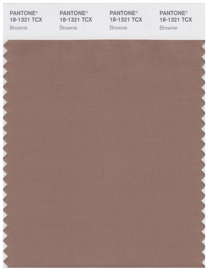 Pantone Smart 18-1321 TCX Color Swatch Card | Brownie 