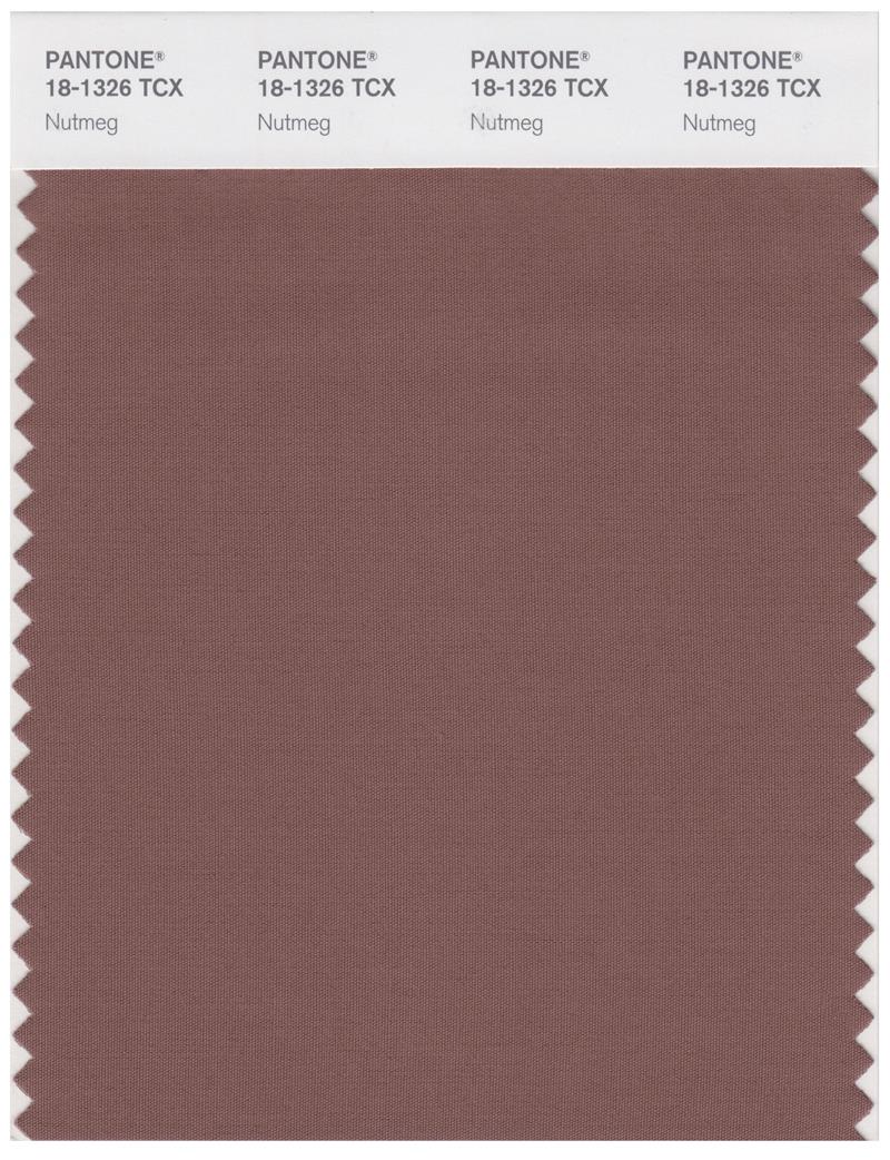 Pantone Smart 18-1326 TCX Color Swatch Card | Nutmeg 