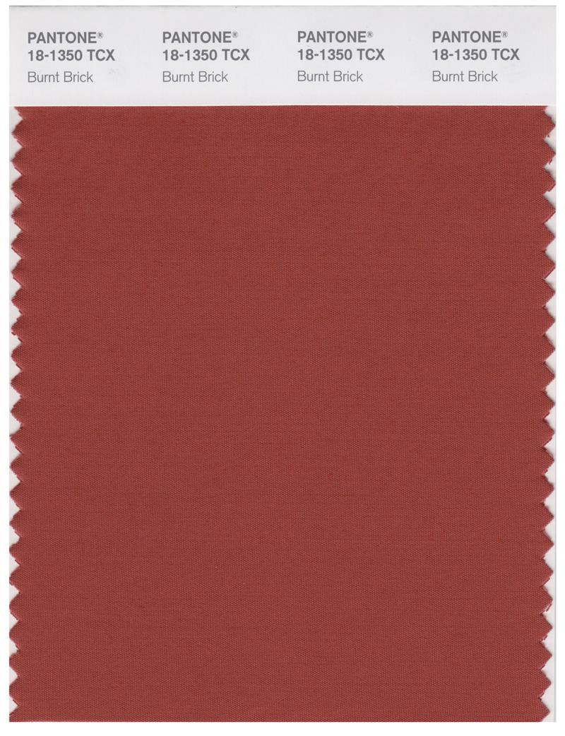 Pantone Smart 18-1350 TCX Color Swatch Card | Burnt Brick 