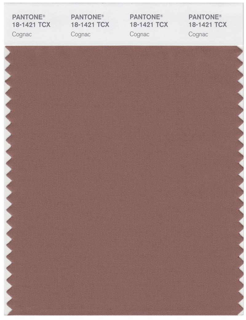 Pantone Smart 18-1421 TCX Color Swatch Card | Cognac 