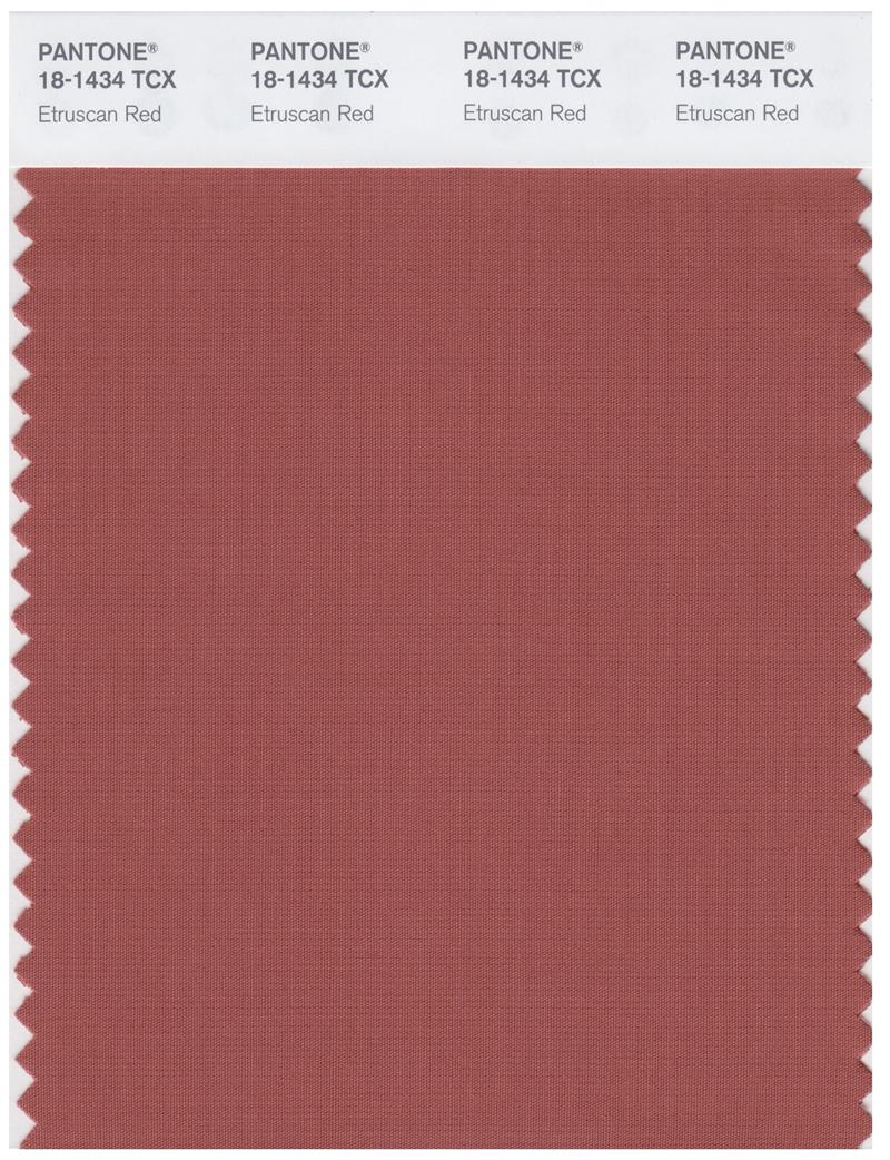 Pantone Smart 18-1434 TCX Color Swatch Card | Etruscan Red 