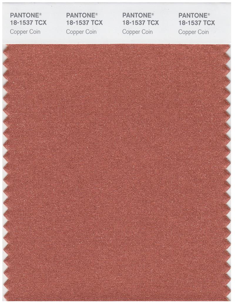 Pantone Smart 18-1537 TCX Color Swatch Card | Copper Coin 