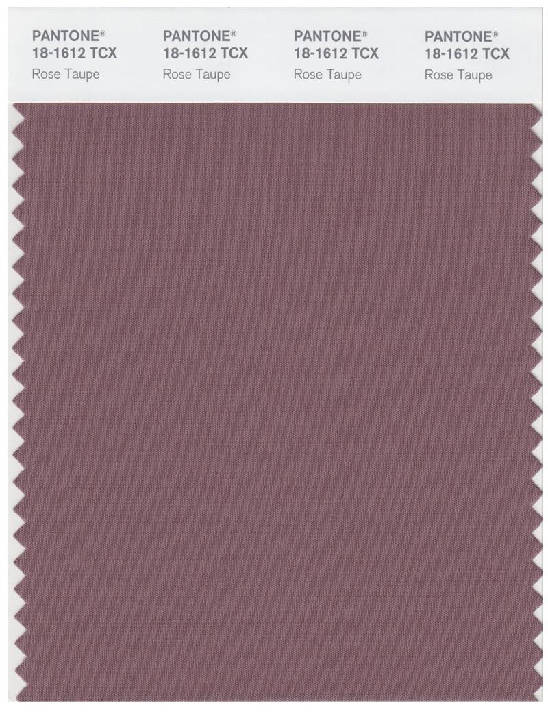 Pantone Smart 18-1612 TCX Color Swatch Card | Rose Taupe 