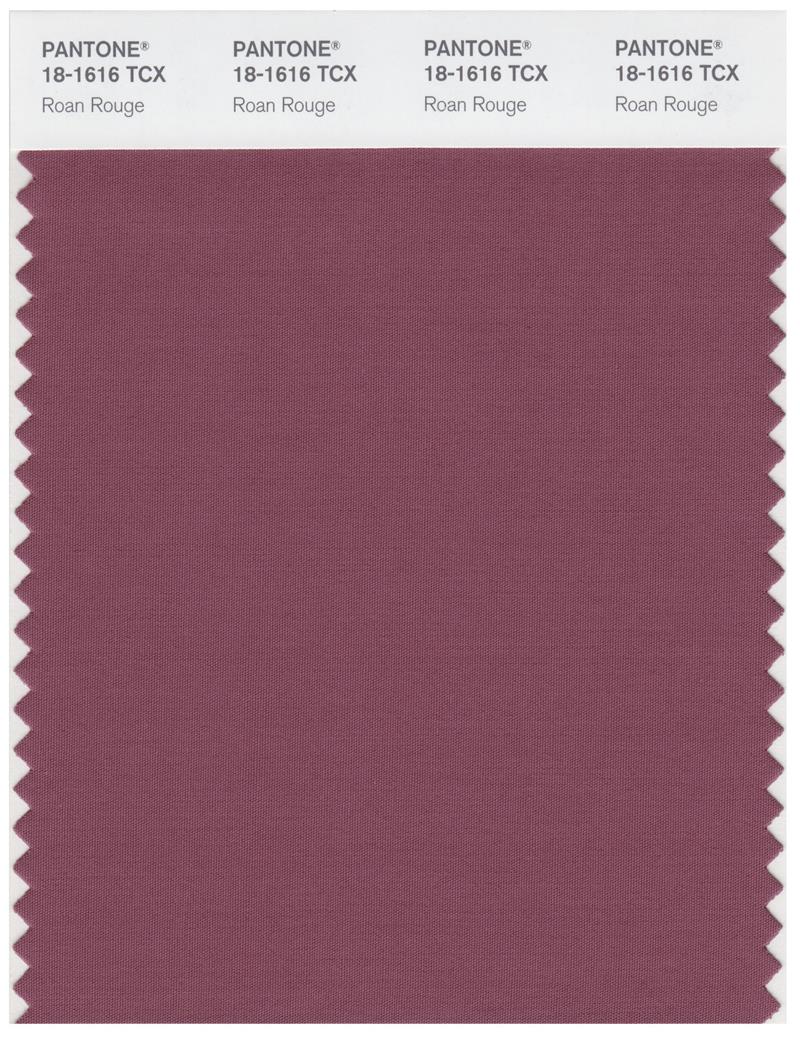 Pantone Smart 18-1616 TCX Color Swatch Card | Roan Rouge 