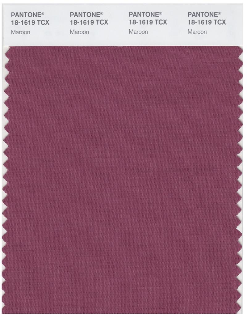 Pantone Smart 18-1619 TCX Color Swatch Card | Maroon 