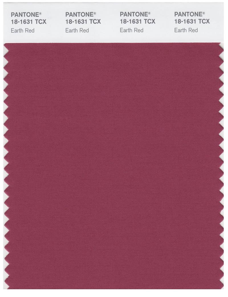 Pantone Smart 18-1631 TCX Color Swatch Card | Earth Red 