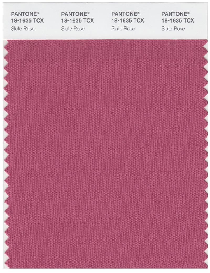 Pantone Smart 18-1635 TCX Color Swatch Card | Slate Rose 