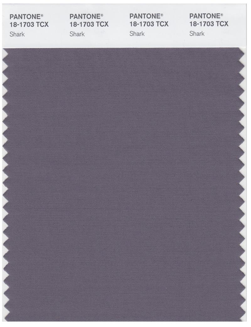 Pantone Smart 18-1703 TCX Color Swatch Card | Shark 