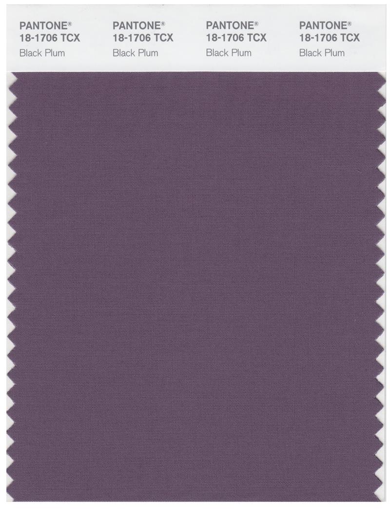 Pantone Smart 18-1706 TCX Color Swatch Card | Black Plum 