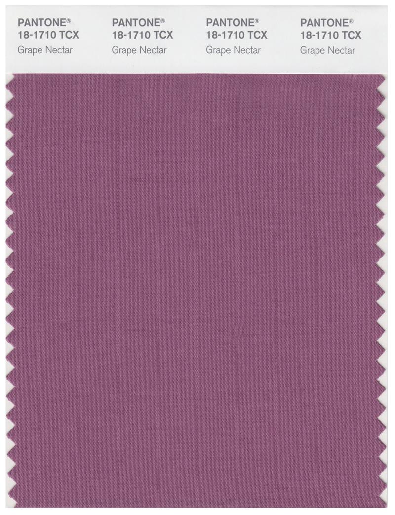 Pantone Smart 18-1710 TCX Color Swatch Card | Grape Nectar 