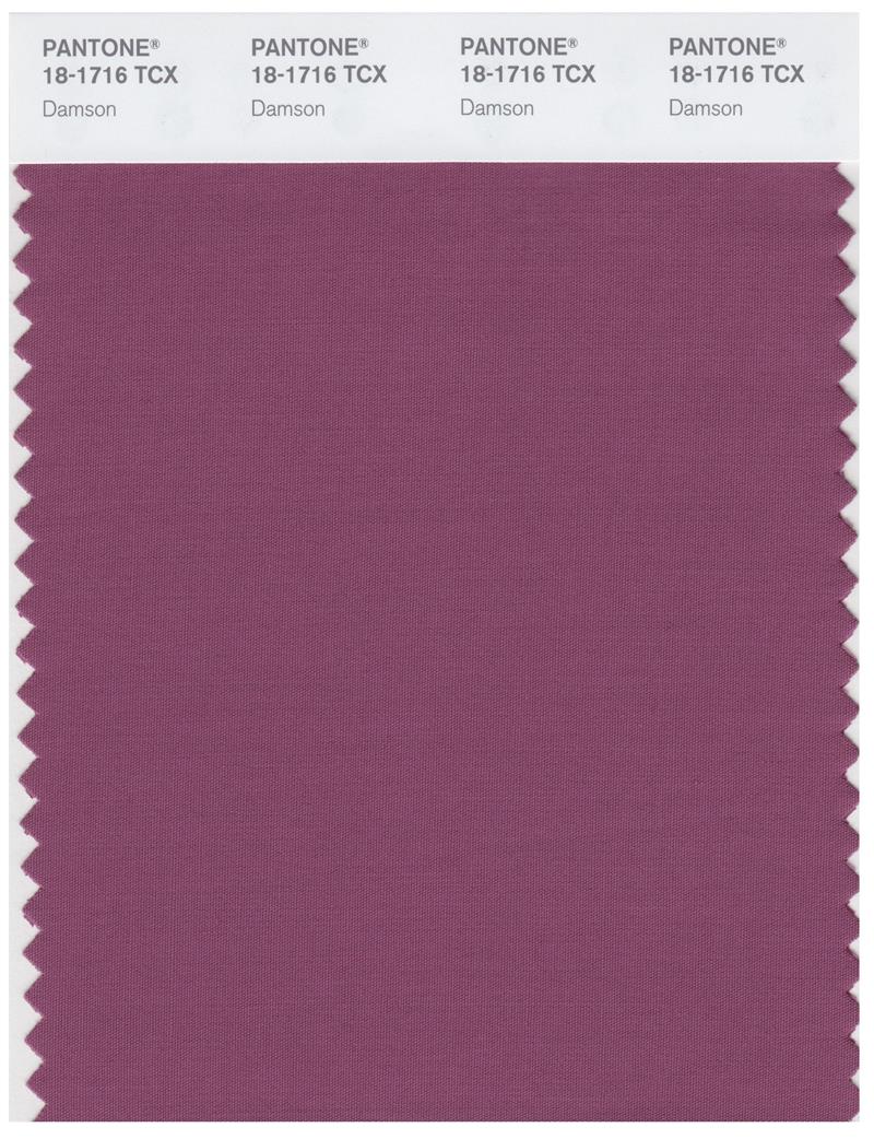 Pantone Smart 18-1716 TCX Color Swatch Card | Damson 