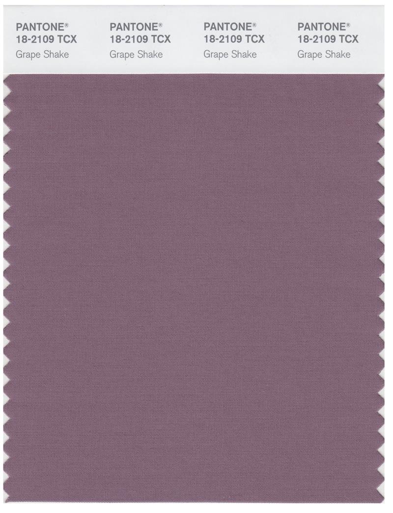 Pantone Smart 18-2109 TCX Color Swatch Card | Grape Shake 