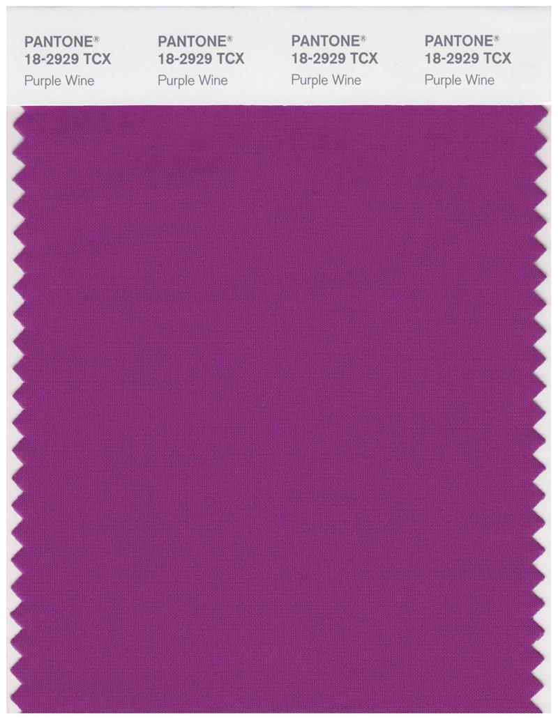 Pantone Smart 18-2929 TCX Color Swatch Card | Purple Wine 