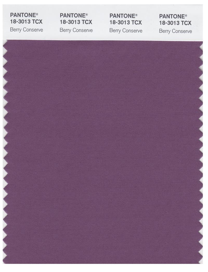 Pantone Smart 18-3013 TCX Color Swatch Card | Berry Conserve 