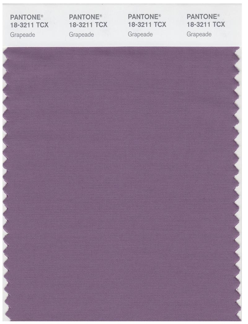 Pantone Smart 18-3211 TCX Color Swatch Card | Grapeade 