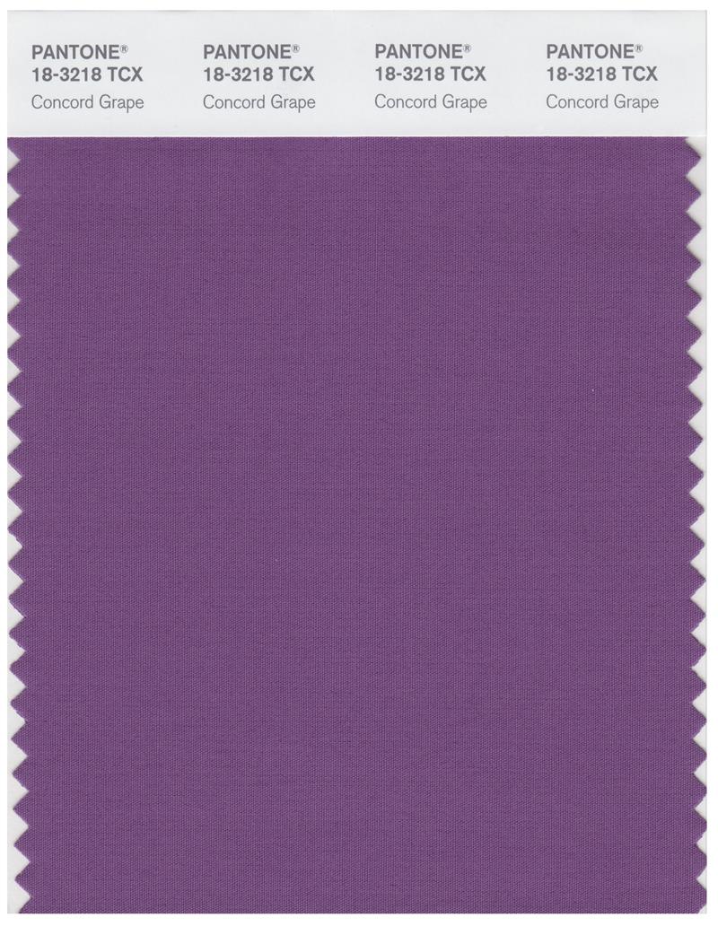 Pantone Smart 18-3218 TCX Color Swatch Card | Concord Grape 