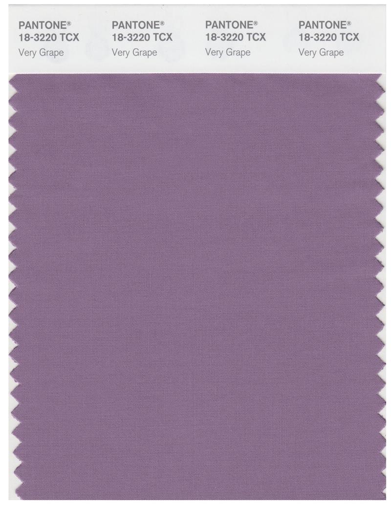 Pantone Smart 18-3220 TCX Color Swatch Card | Very Grape 