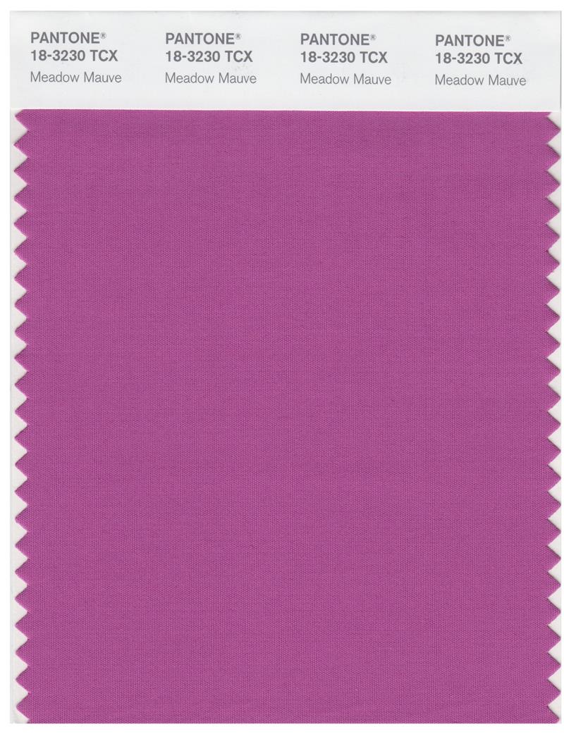 Pantone Smart 18-3230 TCX Color Swatch Card | Meadow Mauve 