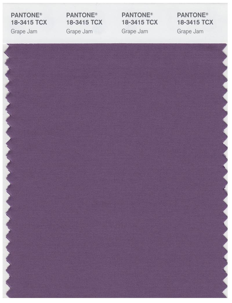 Pantone Smart 18-3415 TCX Color Swatch Card | Grape Jam 