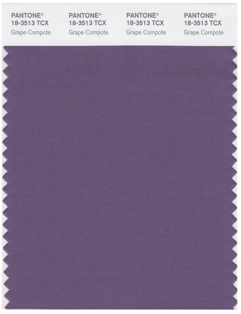 Pantone Smart 18-3513 TCX Color Swatch Card | Grape Compote 