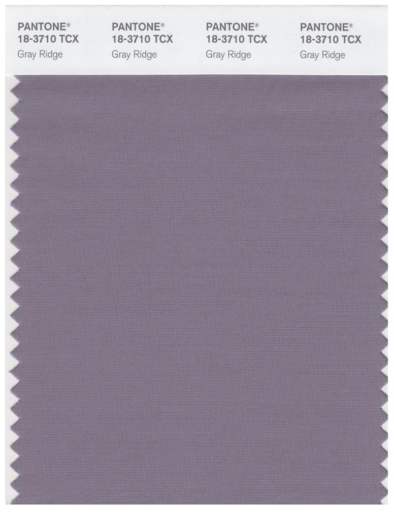 Pantone Smart 18-3710 TCX Color Swatch Card | Gray Ridge 