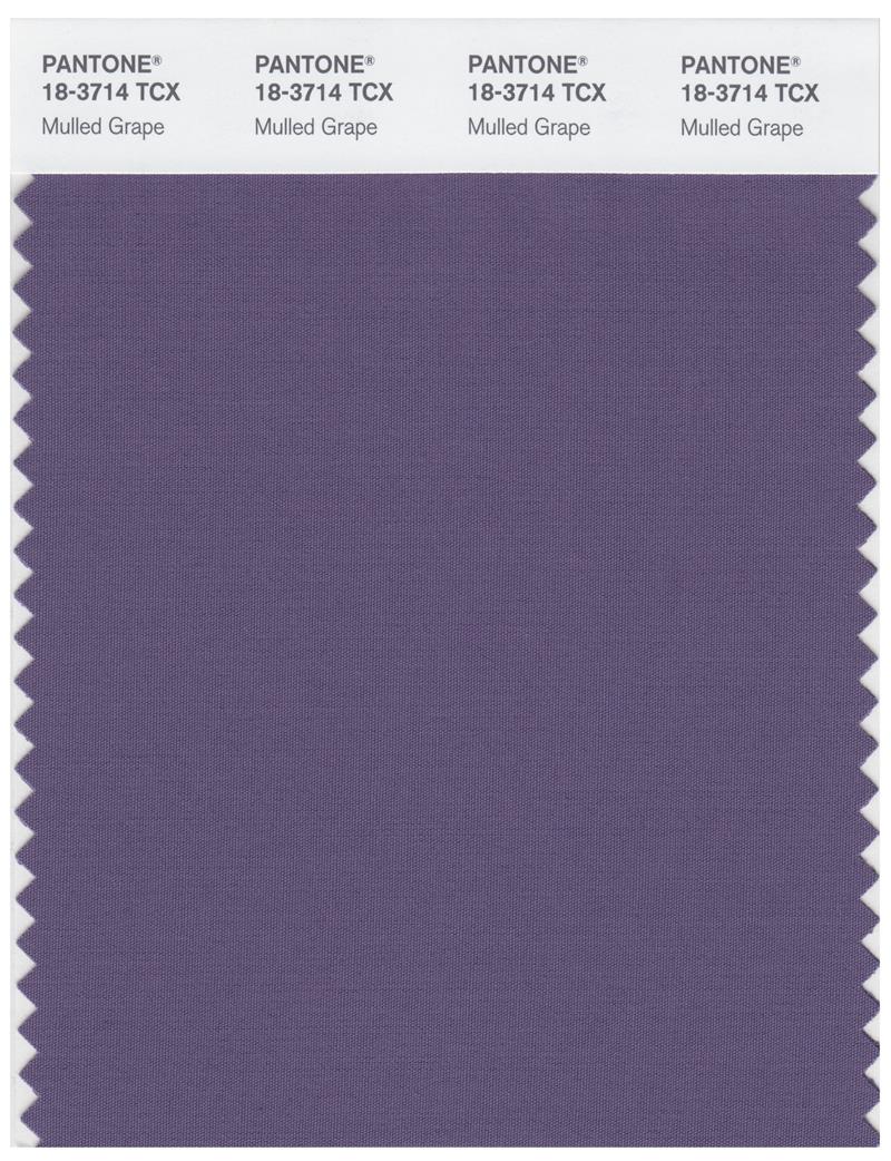 Pantone Smart 18-3714 TCX Color Swatch Card | Mulled Grape 