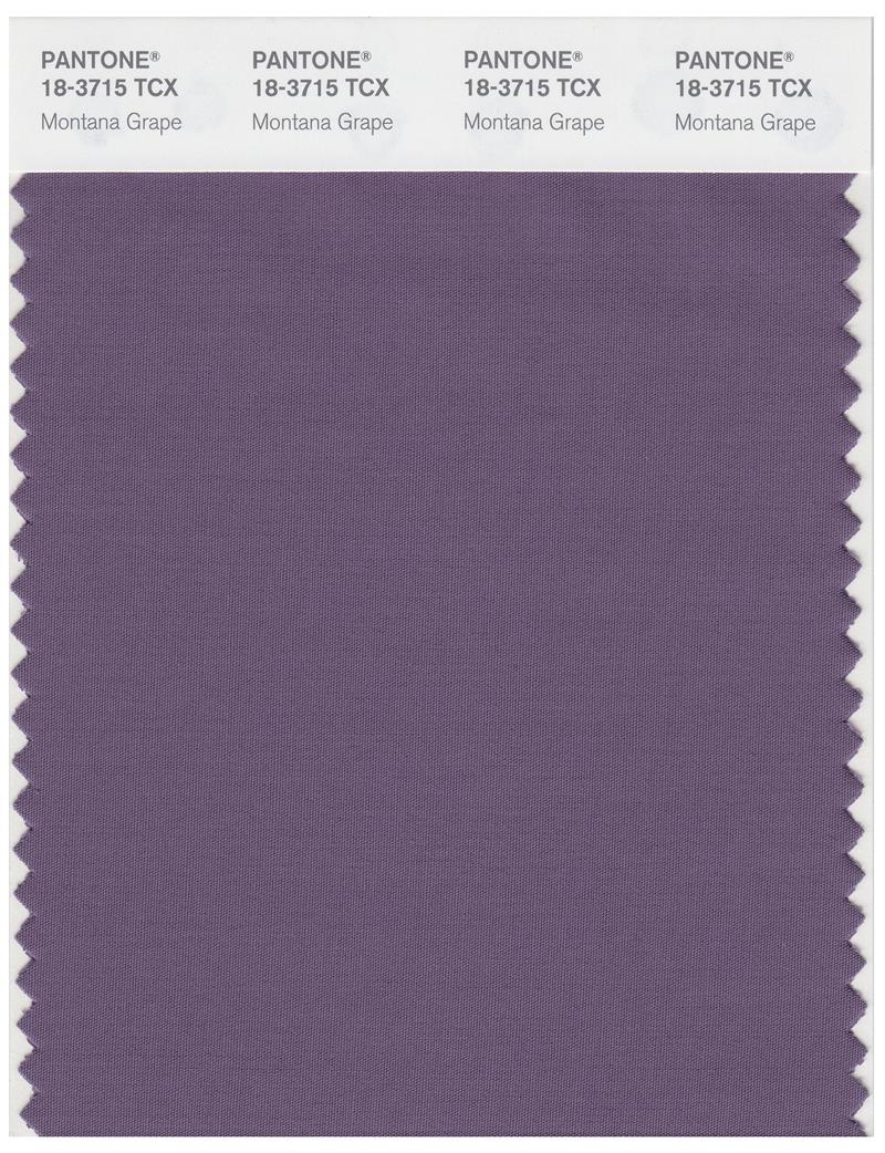 Pantone Smart 18-3715 TCX Color Swatch Card | Montana Grape 