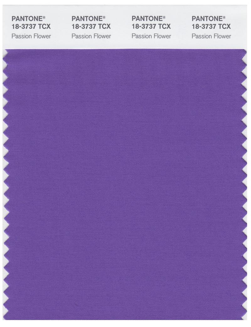 Pantone Smart 18-3737 TCX Color Swatch Card | Passion Flower 