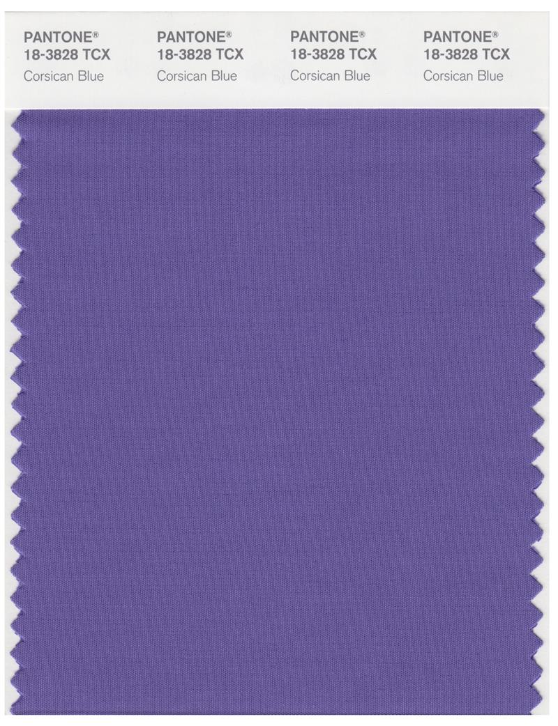 Pantone Smart 18-3828 TCX Color Swatch Card | Corsican Blue 