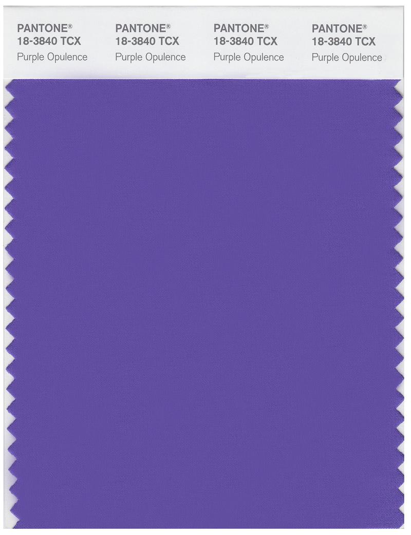 Pantone Smart 18-3840 TCX Color Swatch Card | Purple Opulence 