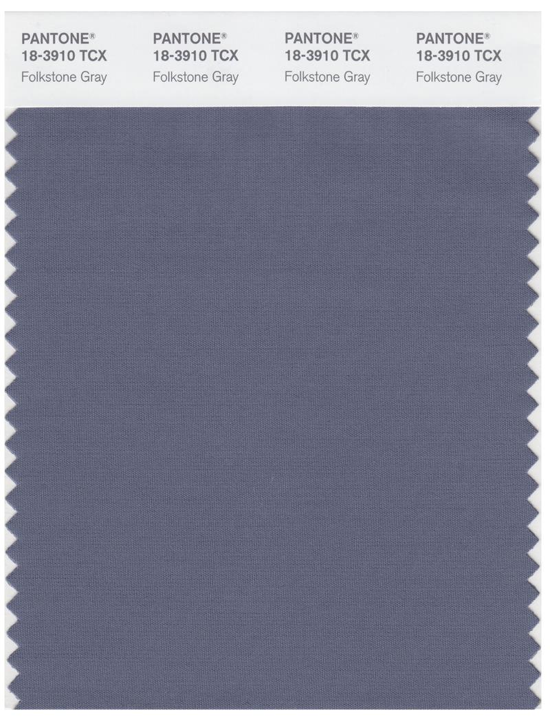 Pantone Smart 18-3910 TCX Color Swatch Card | Folkstone Gray 