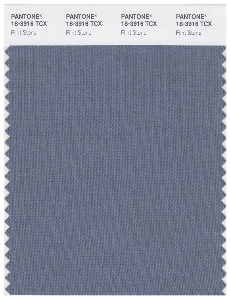 Pantone Smart 18-3916 TCX Color Swatch Card | Flint Stone 