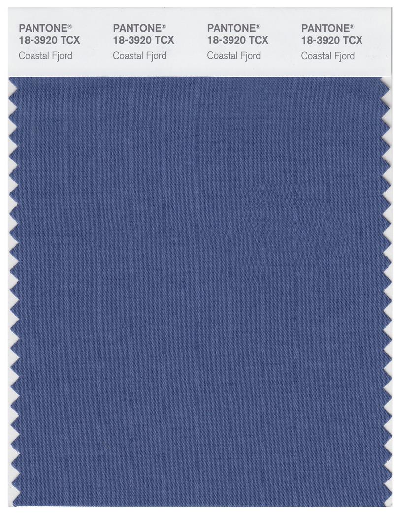 Pantone Smart 18-3920 TCX Color Swatch Card | Coastal Fjord 