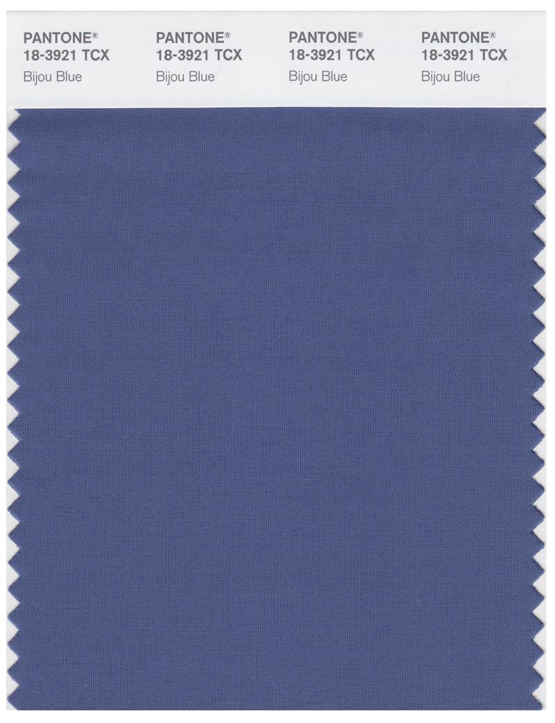 Pantone Smart 18-3921 TCX Color Swatch Card | Bijou Blue 