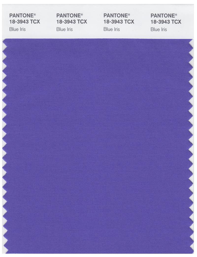 Pantone Smart 18-3943 TCX Color Swatch Card | Blue Iris 