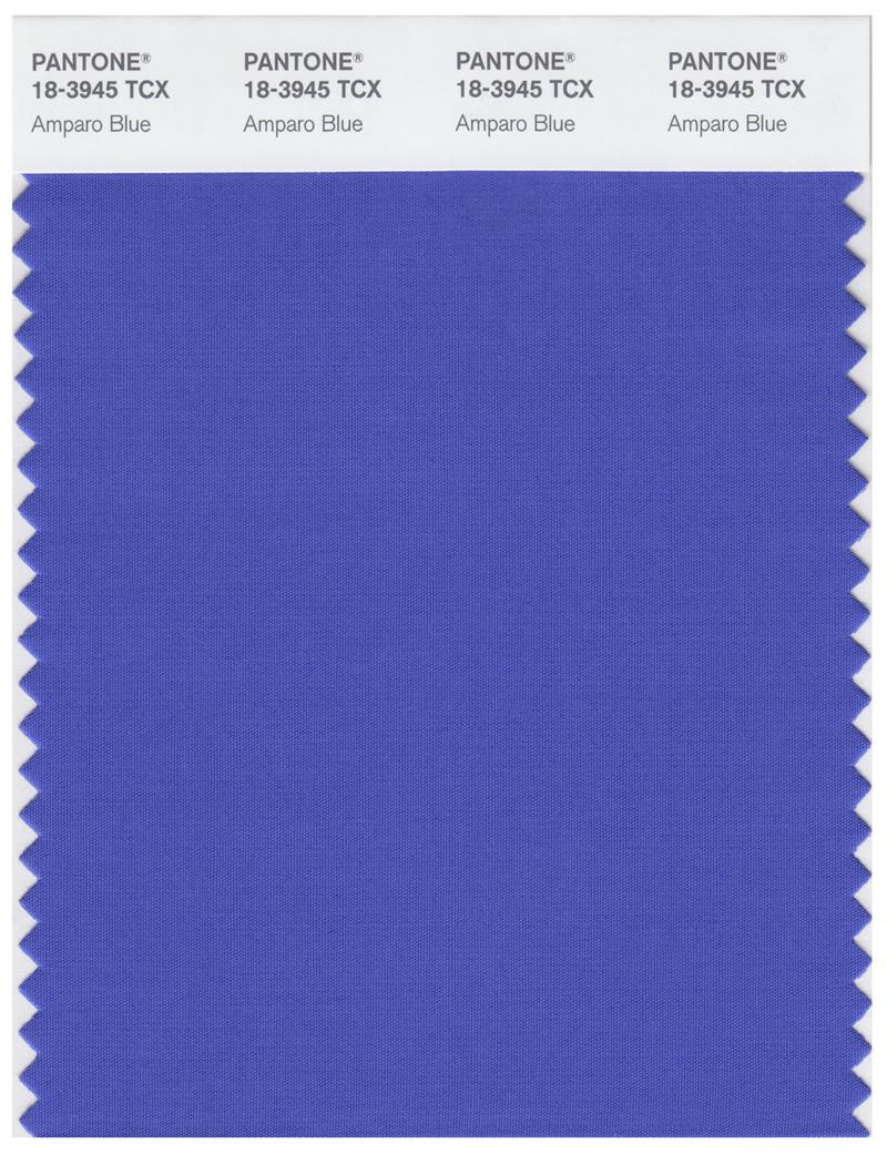 Pantone Smart 18-3945 TCX Color Swatch Card | Amparo Blue 