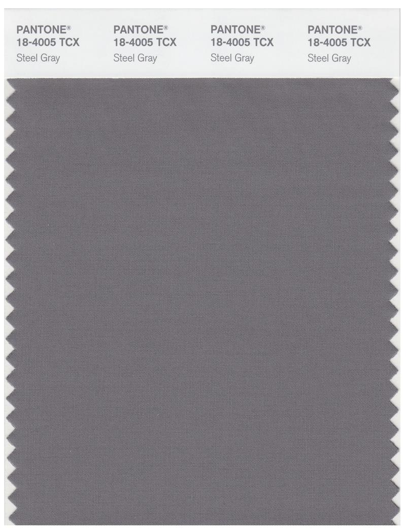 Pantone Smart 18-4005 TCX Color Swatch Card | Steel Gray 