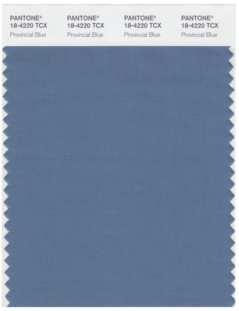 Pantone Smart 18-4220 TCX Color Swatch Card | Provincial Blue 