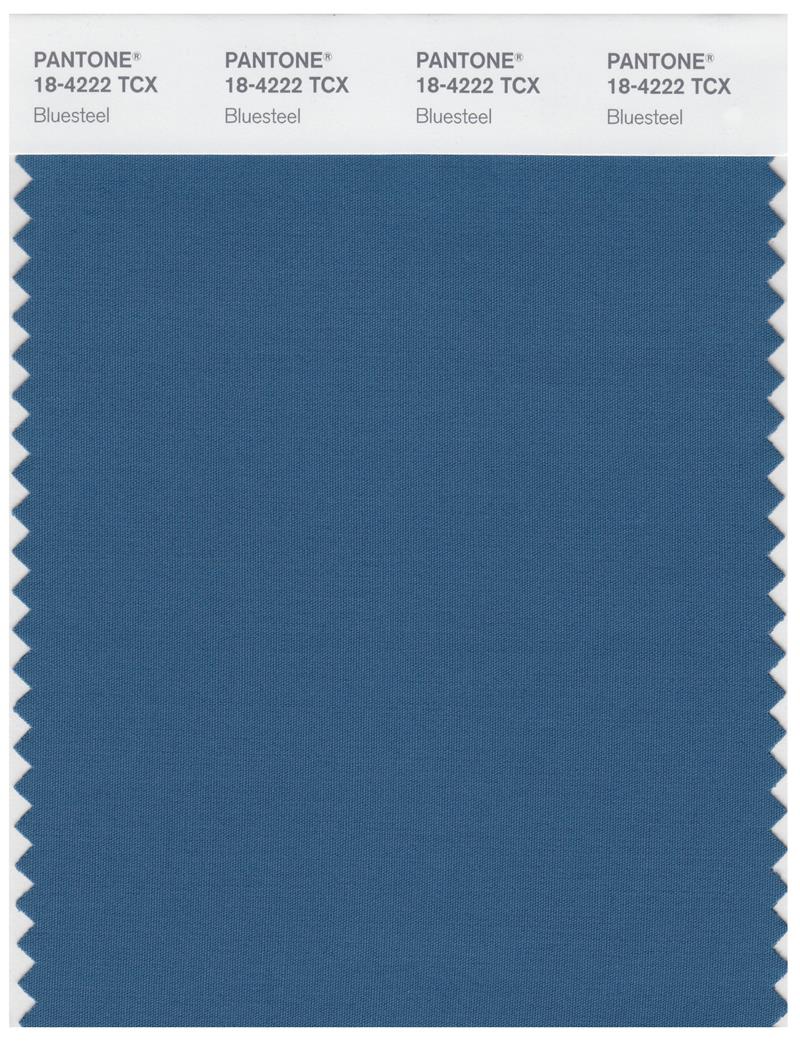 Pantone Smart 18-4252 TCX Color Swatch Card | Blue Aster 