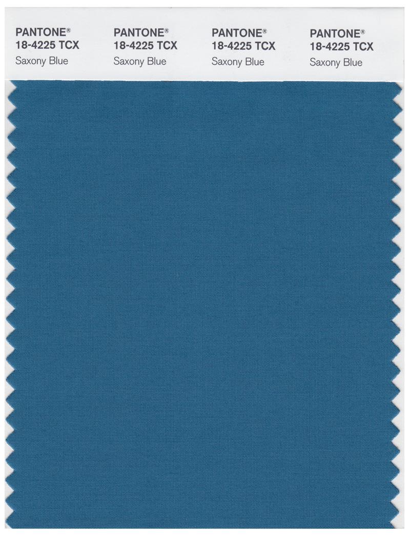 Pantone Smart 18-4225 TCX Color Swatch Card | Saxony Blue 