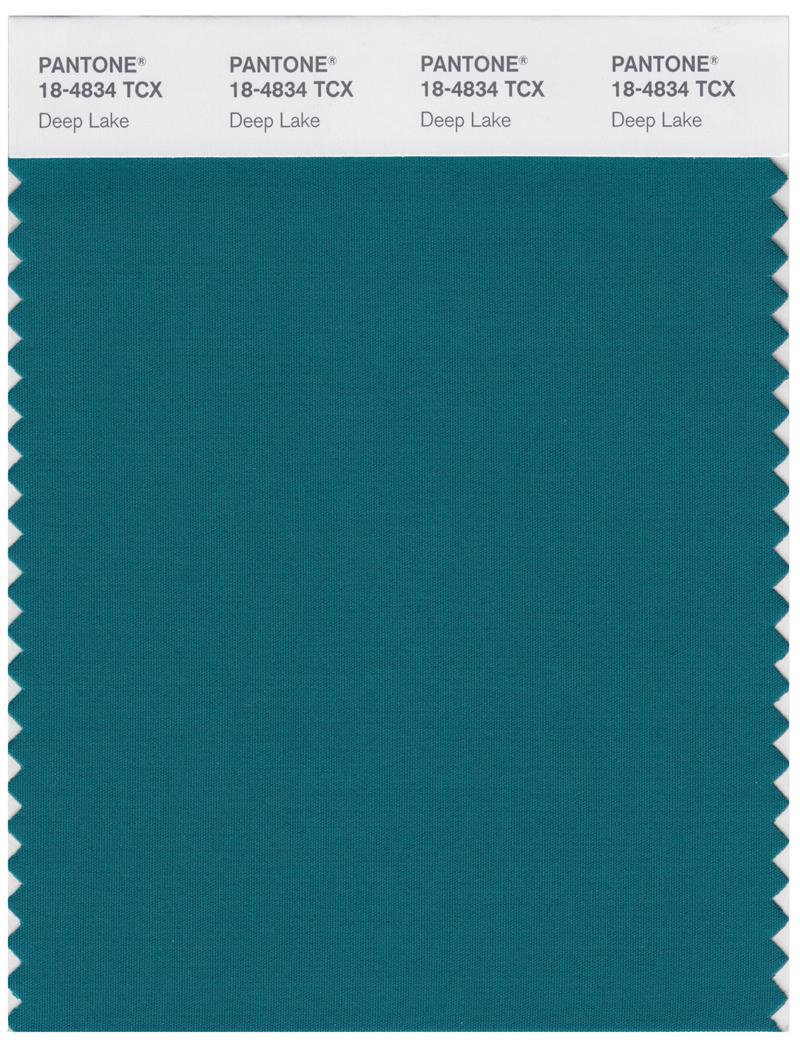 Pantone Smart 18-4834 TCX Color Swatch Card | Deep Lake 