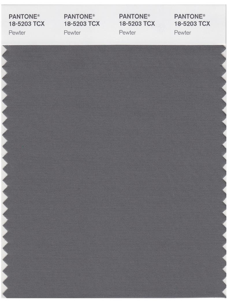 Pantone Smart 18-5203 TCX Color Swatch Card | Pewter 