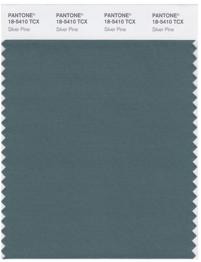 Pantone Smart 18-5410 TCX Color Swatch Card | Silver Pine 